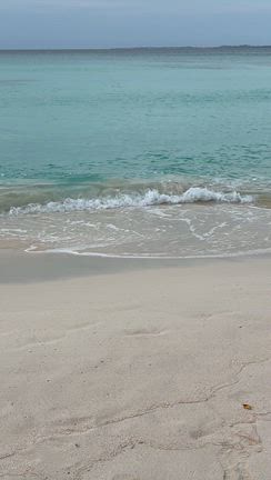 宮古島に来ていますの記事動画