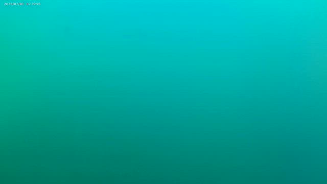 第１号ホームラン( •̀ᴗ•́ )وの記事動画