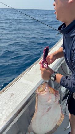 8/21ヒラメの記事動画