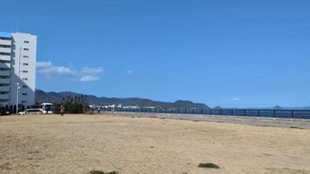 第1回かがわマラソン2026で1万人が走りました！知事もファンランに＠香川県高松市の記事動画