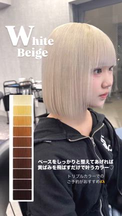 ハイトーンミニボブの記事動画