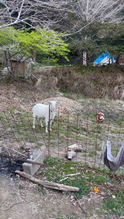 「余白」のある暮らし方　桃源郷のような場所へ行ってきましたの記事動画