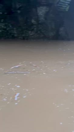 昨晩ゲリラ⚡️☔の記事動画