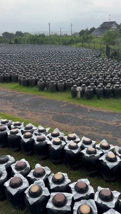 鹿児島の「壺畑」黒酢ガーデンと、大雨と冠水のニュースの記事動画