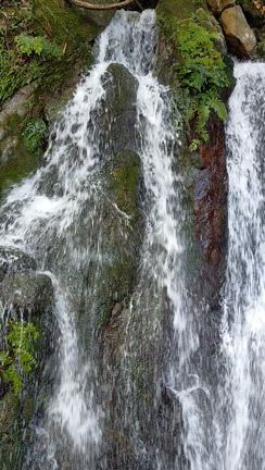 福岡で滝行！の記事動画