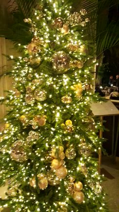 ミラノ①の記事動画