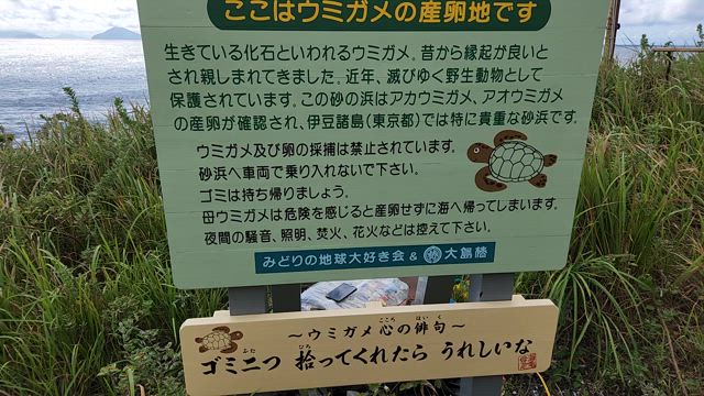 ブログ放置からの～2024年伊豆大島編の記事動画