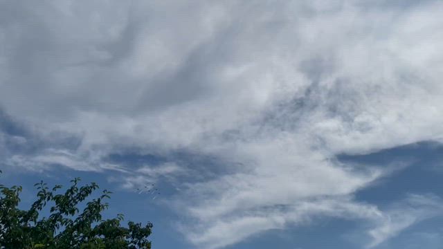 次回作も面白そうな花組の記事動画