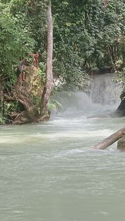 ”みんなで遠足　クアンシーの滝”の記事動画