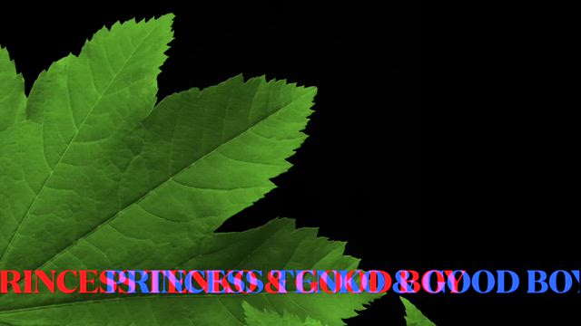 Good boyの記事動画