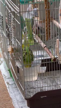 約半年ぶりの外泊の記事動画