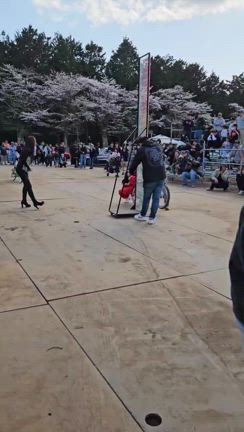 催物満喫。。。の記事動画