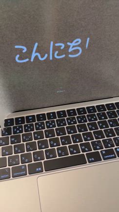 豚に真珠じゃないよの記事動画