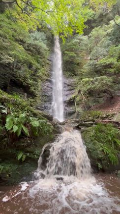 四国歩き遍路　区切り打ち8回目 :２日目　三角寺〜仙龍寺〜白地荘③の記事動画