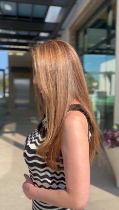 お気に入りのシャントリの記事動画