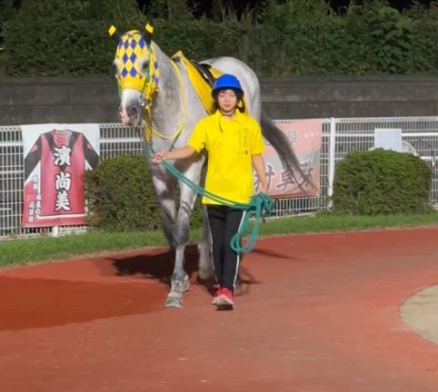 高知行きたい、行きたいよーの記事動画