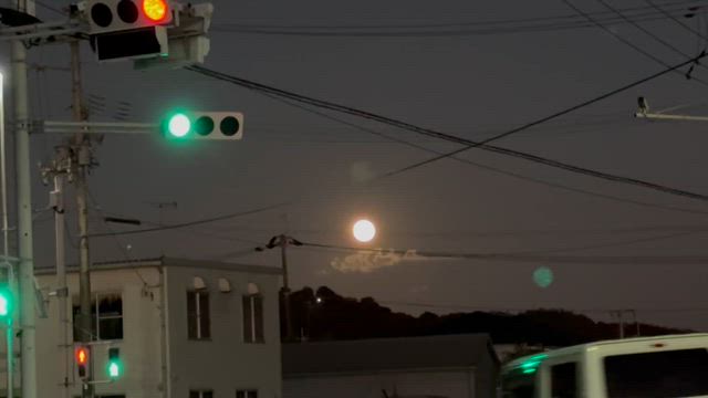 まん丸でしたの記事動画