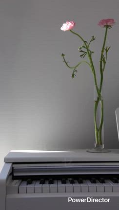 ぷらいまりー2無料体験レッスン、まだまだ間に合います！！の記事動画