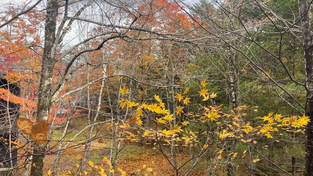 冬景色にの記事動画