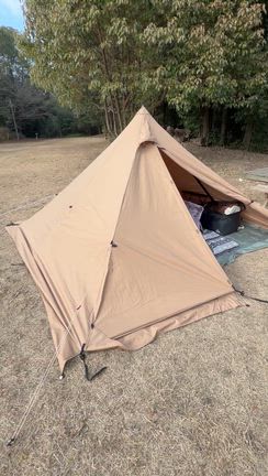 今更ながらパンダの記事動画