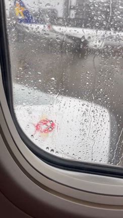 ツアー後はこんな感じ、、、の記事動画