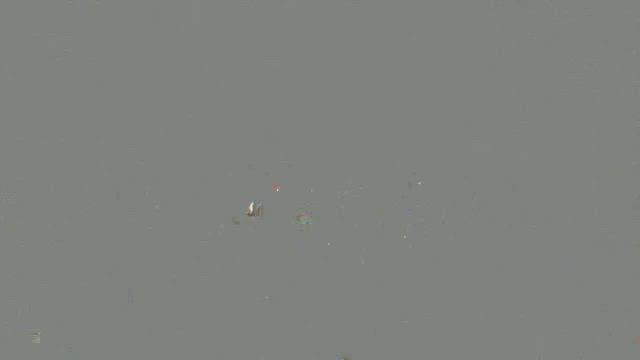 ♡2025.2.28♡の記事動画