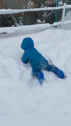 3118☆河東郡上士幌町の記事動画