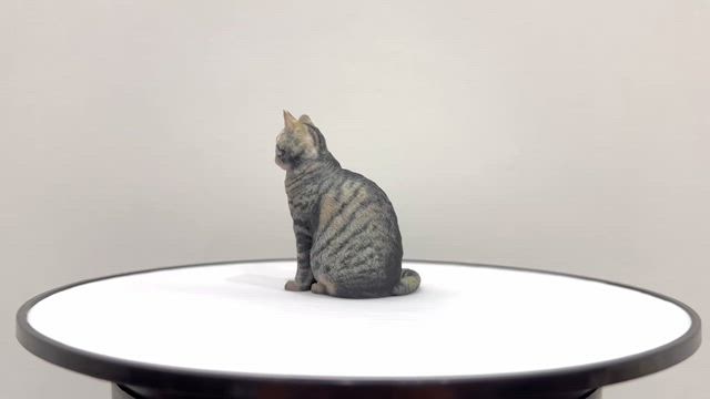 陀羅尼ちゃんがフィギュアになりましたの記事動画