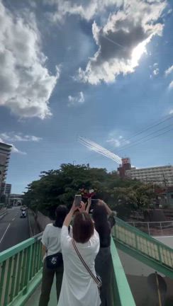 譲渡会の報告とブルーインパルスの記事動画