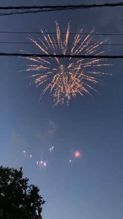 越谷の夏！花火に阿波踊りの記事動画