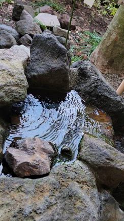 癖が強すぎる杉原神社の記事動画