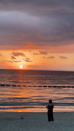 海が好き！！の記事動画