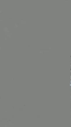 フィンランド　〜 レヴィ街散策編 〜の記事動画