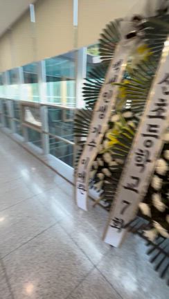 日本人、ザ！！韓国のお葬式に行きました...私何着るん？から始まったの記事動画