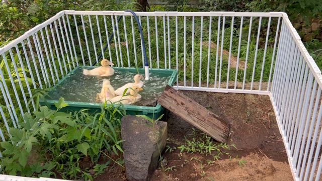 やる気スイッチ２の記事動画