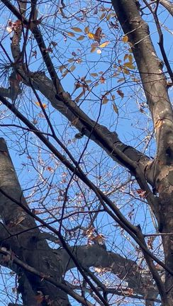 その気持ち！よく分かります！の記事動画