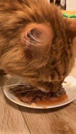 検査結果、続き。の記事動画