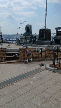 様々な神様へご相談の記事動画