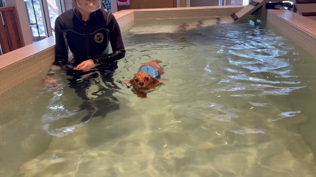 早め早めの行動をの記事動画