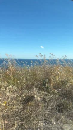 伊豆高原の記事動画