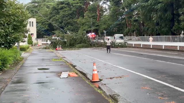 豪雨と突風の恐怖を目の当たりにの記事動画