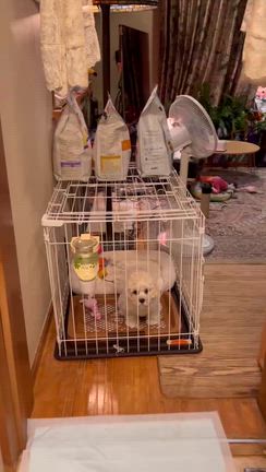 やっちゃんさんのプロフィールページ