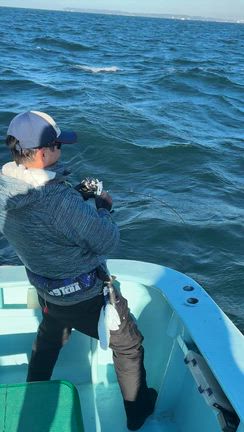 11月22日(土)  大鳥山‼️の記事動画