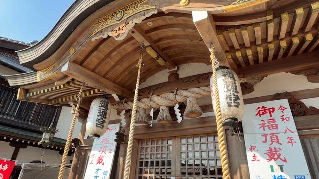 道は通じた！（お子さんの特徴にご注意）の記事動画