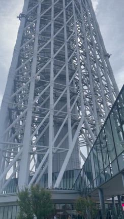 スカイツリーの記事動画