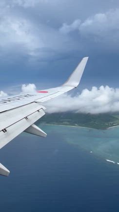 西表島に行くの記事動画