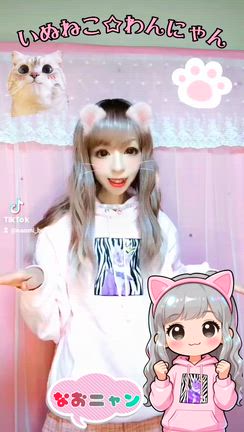 11/10＆17☆Tik Tok動画♫しんやっちょ✖ 岸田健作コラボ曲「いぬねこ☆わんにゃん」の記事動画