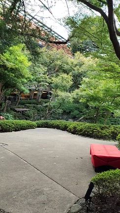 １日リニューアルオープンの八芳園へ行って来ました…の記事動画