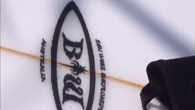 レア】BenWebb ベンウェブ Mid Fish シェイパー本人ボード