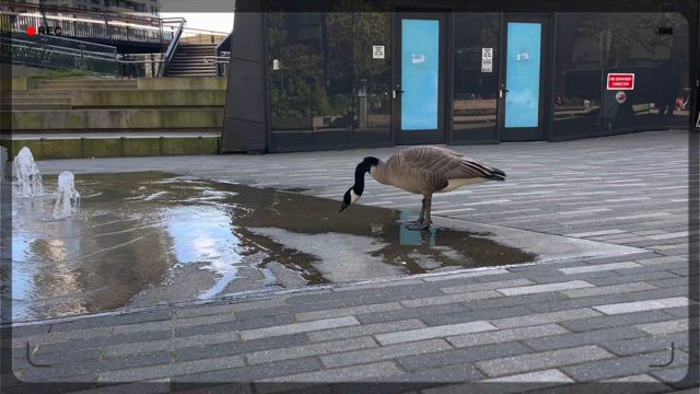 水遊びの記事動画